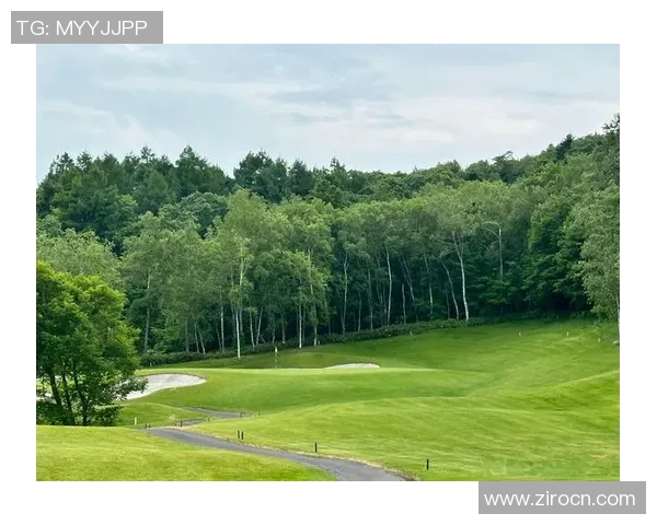 探索模拟高尔夫球场的魅力与技术创新体验尽在其中