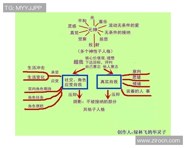 探索芹苴与胡志明市的文化差异与经济发展潜力之比较分析