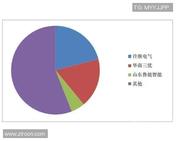 年轻人对洛桑未来发展的预测与思考分析